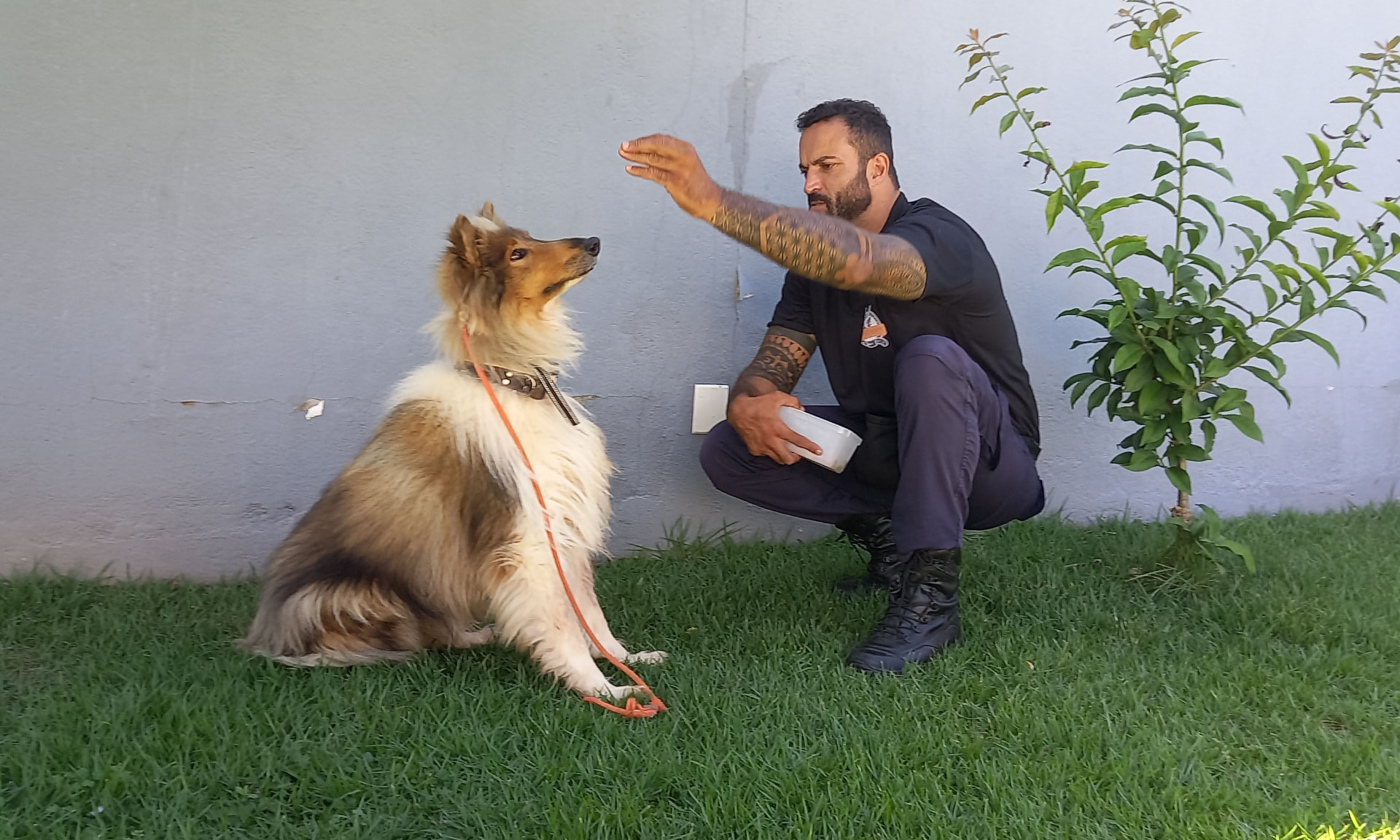 André Andrade adestrando um cão em Belo Horizonte